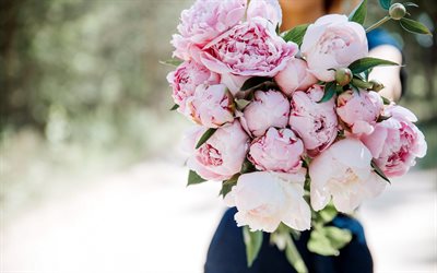 pink peonies, bouquet of peonies, pink peonies in hand, beautiful bouquet, pink flowers, peonies