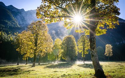 オーストリア, 4k, 明るい陽, 美しい自然, 夏, 山々, アルプス, チロル, 欧州