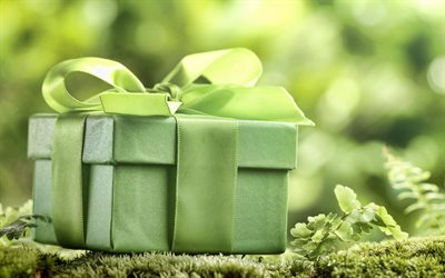 green gift box, green silk bow, eco concepts, ecology, environment, nature concepts