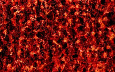lava texture, fire background, lava background, flame texture, fire, flame