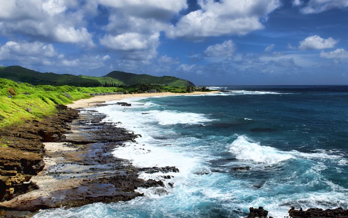 Hawaii, Oceano Pacifico, costa, bellissima spiaggia, onde, oceano, Stati Uniti