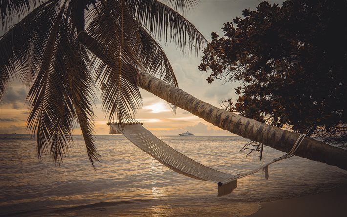 Hamac sur les palmiers, &#238;les tropicales, coucher de soleil, soir&#233;e, paysage marin, yachts de luxe, palmiers, Hamac, Maldives