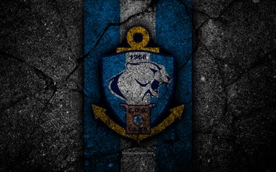 4k, Antofagasta FC, emblem, Chilean Primera Division, soccer, black stone, football club, Chile, Antofagasta, logo, asphalt texture, FC Antofagasta