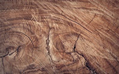 4k, brown wooden texture, close-up, wooden background, cracked tree texture, wooden textures, brown background, light wood