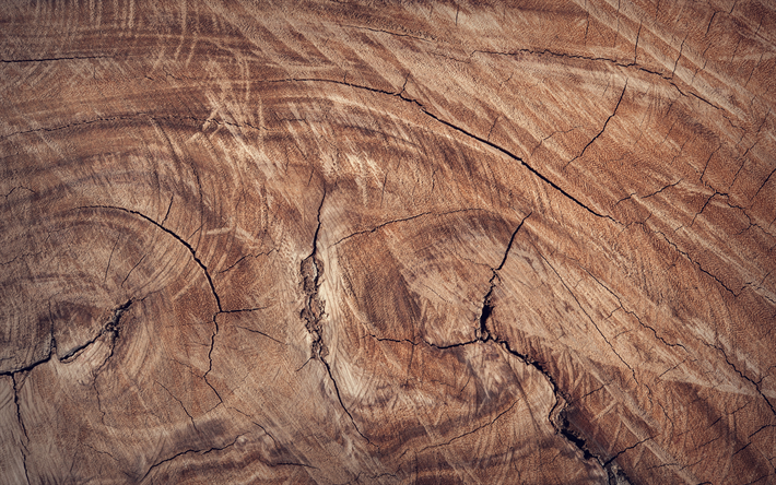 4k, brun, de bois, texture, plan rapproch&#233;, fond de bois, fissur&#233; arbre de texture, en bois, textures, fond brun, bois clair