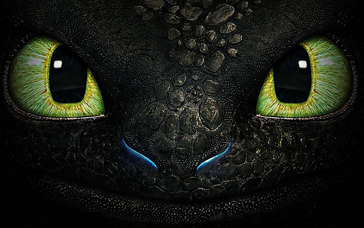 Toothless, close-up, small dragon, How to Train Your Dragon, 3D-animation