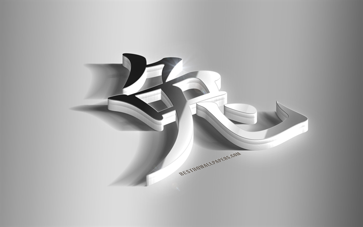 Kanin kinesiska stj&#228;rntecken, Kanin hieroglyf, 3d-metall hieroglyf, metall konst, Kanin kanji hieroglyf, &#197;r av Kanin symbol