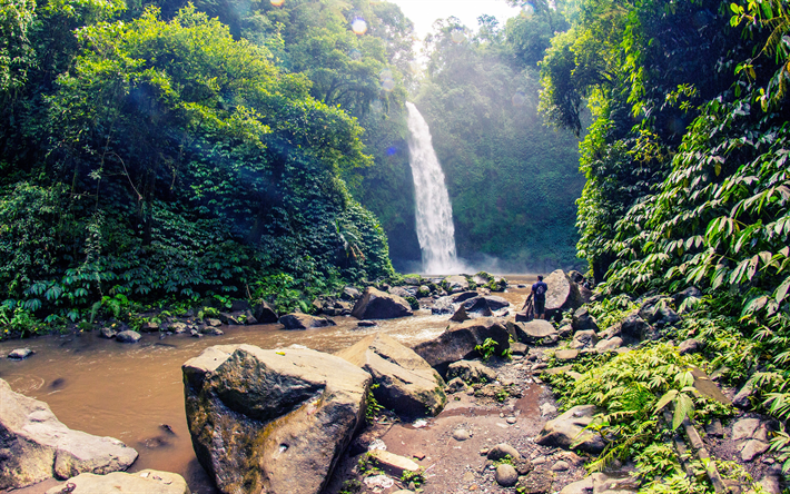 waterfall, jungle, river, beautiful waterfall, Bali, Indonesia