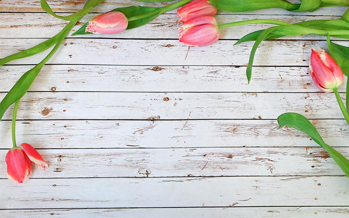 pink tulips frame, floral concepts, floral frames, wooden backgrounds, pink tulips