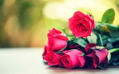 pourpre des roses bouquet, macro, bouquet de roses, bokeh, &#224; fleurs violettes, de roses, de bourgeons