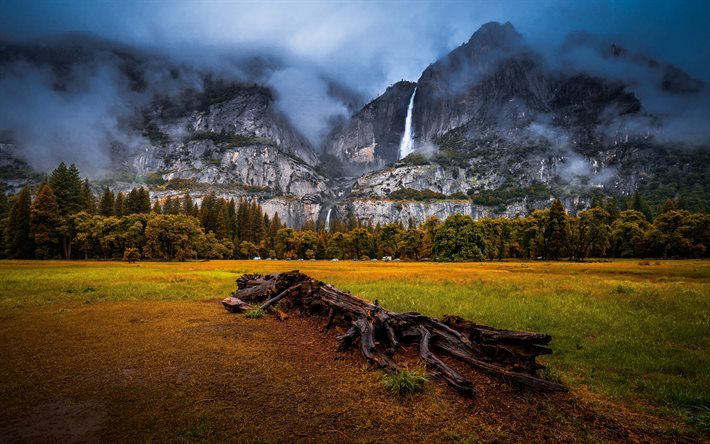 Yosemite National Park, 4k, mountains, forest, Sierra Nevada, fog, California, USA, beautiful nature, american landmarks, America