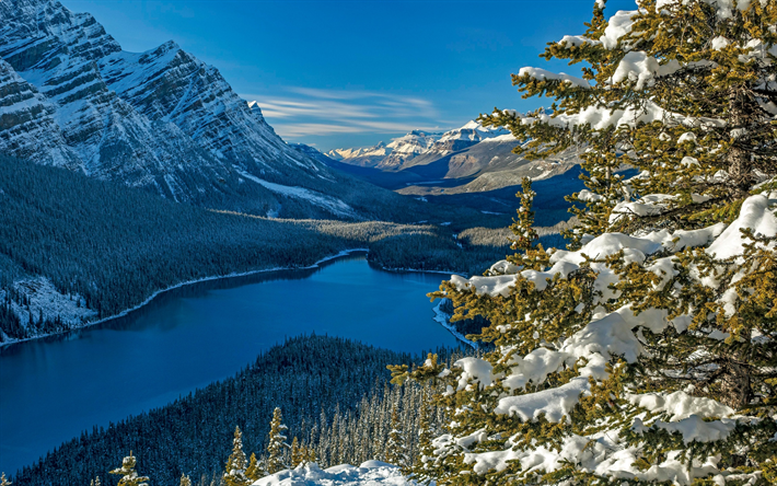 Peyto Lake, lago de montanha, floresta, inverno, paisagem de montanha, O Parque Nacional De Banff, Alberta, Canadense Rockie, Canada