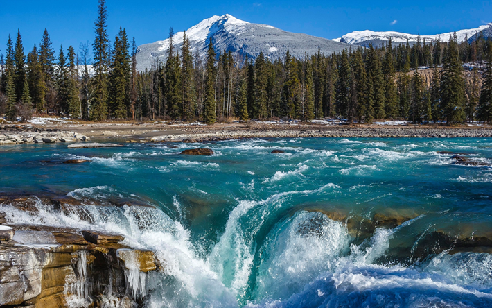 waterfall, mountain river, mountain landscape, forest, Athabasca Falls, Alberta, Jasper National Park, Canada