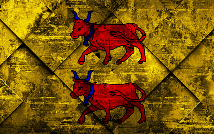 Flagga Bearn, 4k, grunge konst, rhombus grunge textur, den franska provinsen, Bearn flagga, Frankrike, franska nationella symboler, Bearn, Provinserna i Frankrike, kreativ konst