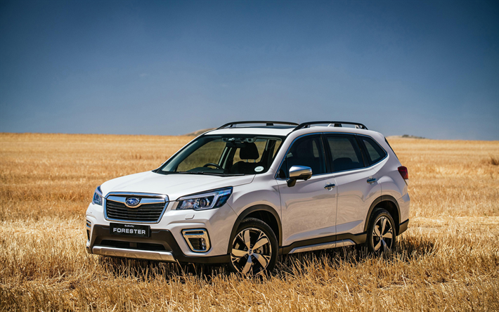 Download Wallpapers Subaru Forester Offroad 19 Cars Suvs White Forester Japanese Cars 19 Subaru Forester New Forester Subaru For Desktop Free Pictures For Desktop Free