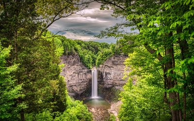 vackra vattenfall, djungel, stenar, skog sj&#246; med ett vattenfall, skogen, gr&#246;na tr&#228;d, milj&#246; begrepp