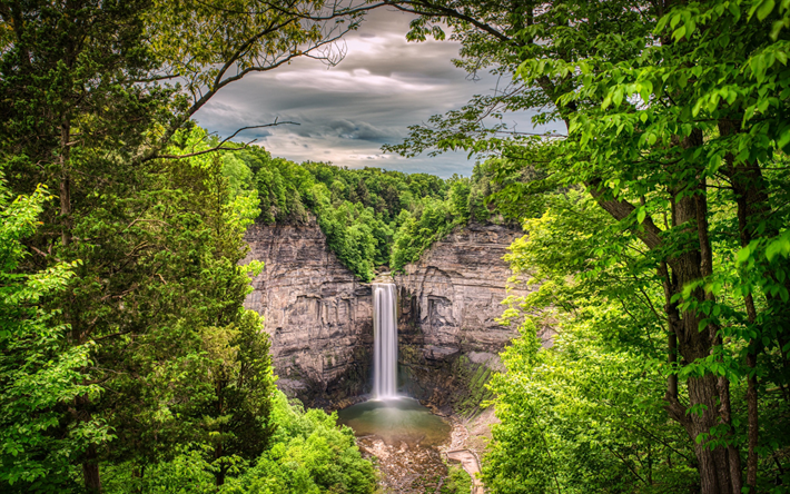 vackra vattenfall, djungel, stenar, skog sj&#246; med ett vattenfall, skogen, gr&#246;na tr&#228;d, milj&#246; begrepp