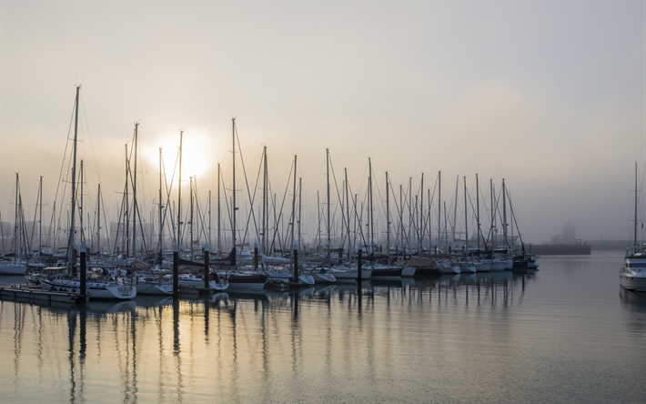 les yachts, la baie, les bateaux &#224; voile, le matin, le lever du soleil, du brouillard, de beaux yachts blancs, parking pour les yachts