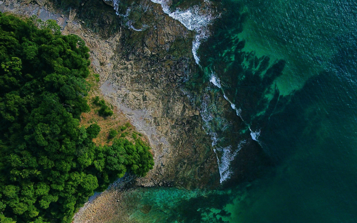 4k, aerial view, forest, coast, waves, summer, sea, beautiful nature, HDR, travel concepts