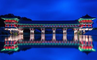 Woljeonggyo Bridge, 4k, nighscapes, South Korea, Asia