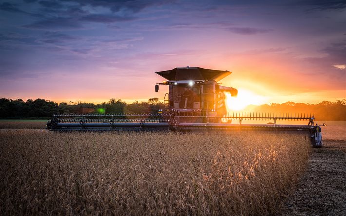 Fendt Ideal, 4k, wheat harvesting, 2020 combines, combine, sunset, combine-harvester, agricultural machinery, Fendt