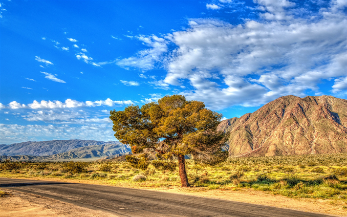 Montanhas, ver&#227;o, Anza-Borrego, Parque Estadual, HDR, Calif&#243;rnia, EUA