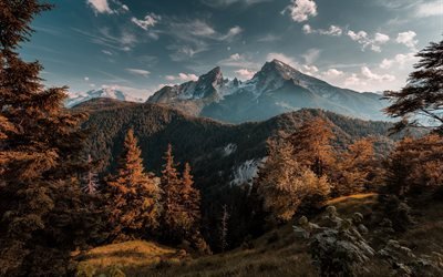 Berg, sunset, skogen, h&#246;st, bergslandskapet, Bayern, Tyskland, Watzmann