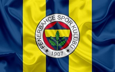 Fenerbahce, football club, Istanbul, Turkey, football, Turkish football club