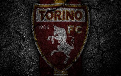 Torino, logo, art, Serie A, soccer, football club, Torino FC, asphalt texture