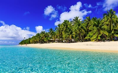 Trooppisia saaria, kes&#228;ll&#228;, ocean, meri, ranta, palmuja