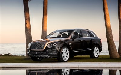 Bentley Bentayga, Mulliner, 2018, exterior, black luxury SUV, front view, black Bentayga, British cars, Bentley
