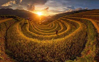 Plantaciones de monta&#241;a, Vietnam, puesta de sol, noche, plantaciones de T&#233;, el paisaje de monta&#241;a