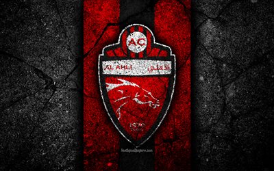 4k, Shabab Al-Ahli FC, emblem, UAE League, soccer, football club, UAE, logo, Shabab Al-Ahli, creative, asphalt texture, FC Shabab Al-Ahli