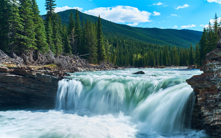rio de montanha, cachoeira, floresta, Canada, rochas, &#225;rvores verdes