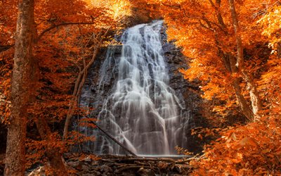 美しい滝, 秋, ロック, 山々, 黄色の木, 秋の景観