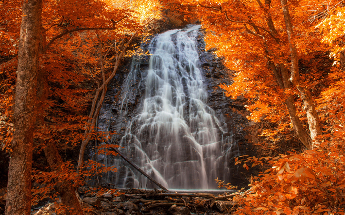beautiful waterfall, autumn, rock, mountains, yellow trees, autumn landscape
