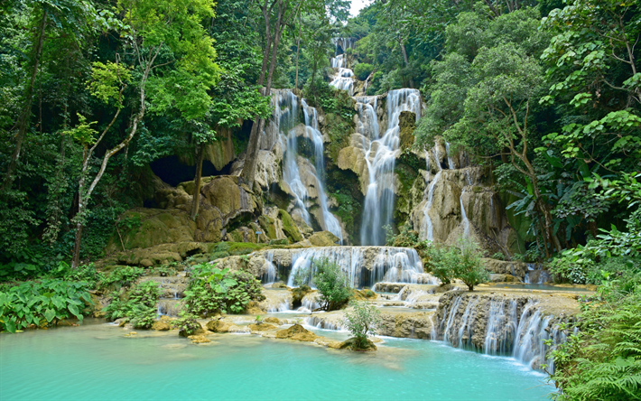cachoeira na montanha, rochas, lago, floresta de chuva, Vietname, Paisagem de montanha