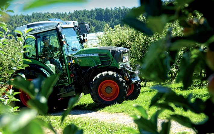 Fendt 210 VFP Vario, jardin de pommes, tracteurs 2020, HDR, machines agricoles, tracteur dans le jardin, agriculture, Fendt