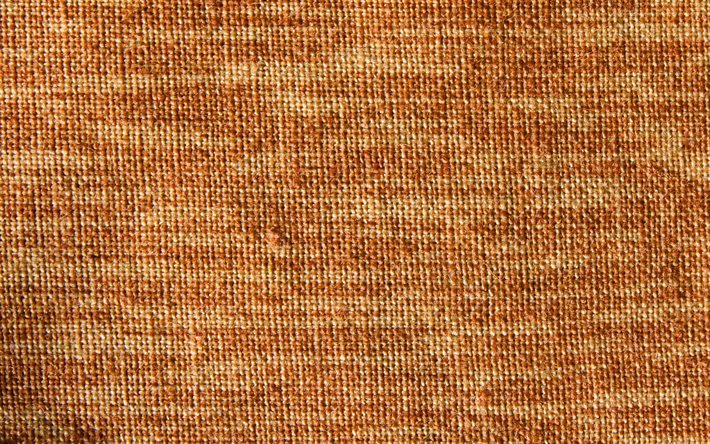 texture de lion de tissu, macro, fond de tissu brun, textures de tissu, textures de lion, arri&#232;re-plans de tissu