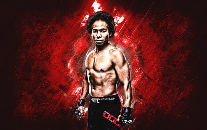 Download wallpapers John Dodson, MMA, American fighter ...