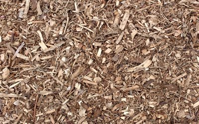 wood chips texture, background with wood chips, wood texture, background with wood, chips texture