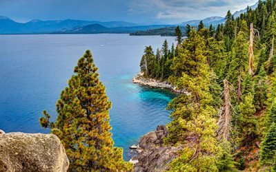 Lake Tahoe, 4k, sommar, vacker natur, Kalifornien, skog, USA, Amerika