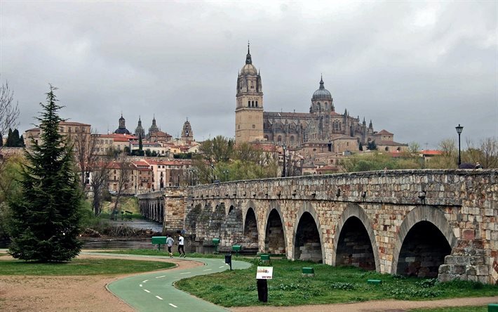 Salamanca, Spain, Roman bridge, River Tormes, Salamanca Cathedral