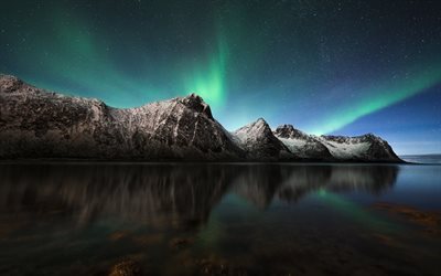 rocas, el mar, la Aurora Boreal, Noruega, noche, cielo