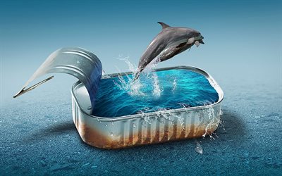 delfiinit, uima-allas, meri, vett&#228;, luova