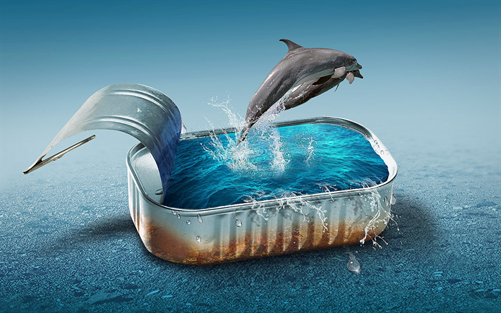 les dauphins, la piscine, la mer, l&#39;eau, cr&#233;atif