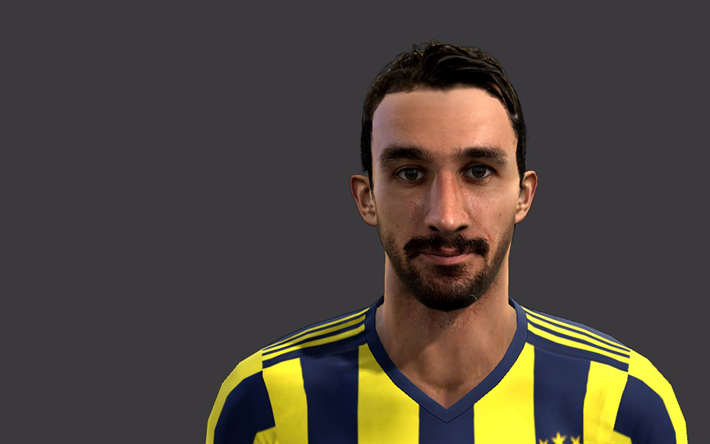 Mehmet Topal, Arte 3D, turco jogador de futebol, Fenerbahce FC, f&#227; de arte, Coxo, Turco Super Lig, futebol