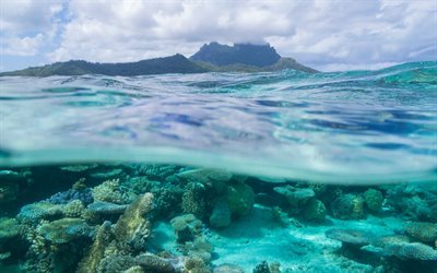 Bora Bora, coral, tropical island, ocean, underwater, wave, French Polynesia, Leeward Islands