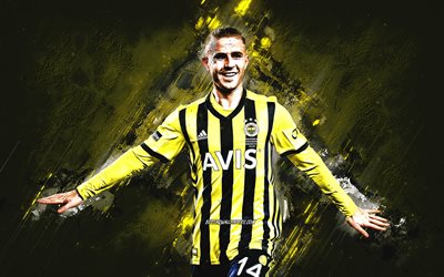 Dimitris Pelkas, Fenerbahce, Greek footballer, portrait, yellow stone background, Turkey, football