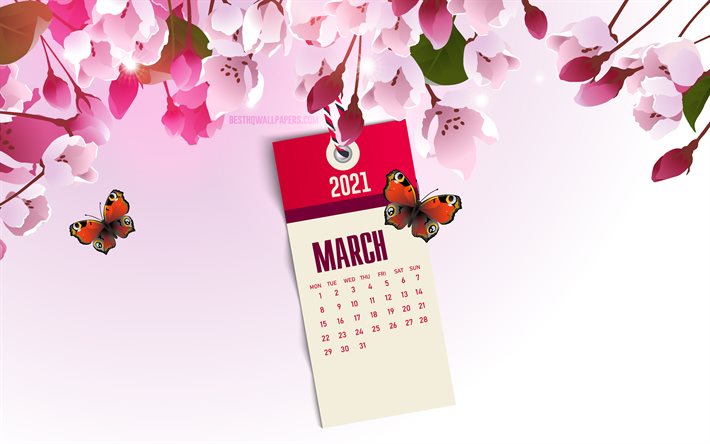 Calendrier mars 2021, 4k, fond rose de printemps, fleurs roses de printemps, calendriers printanier 2021, mars, floraison printani&#232;re, calendrier mars 2021